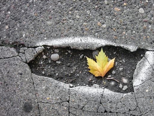 cracked asphalt pavement with a maple leaf